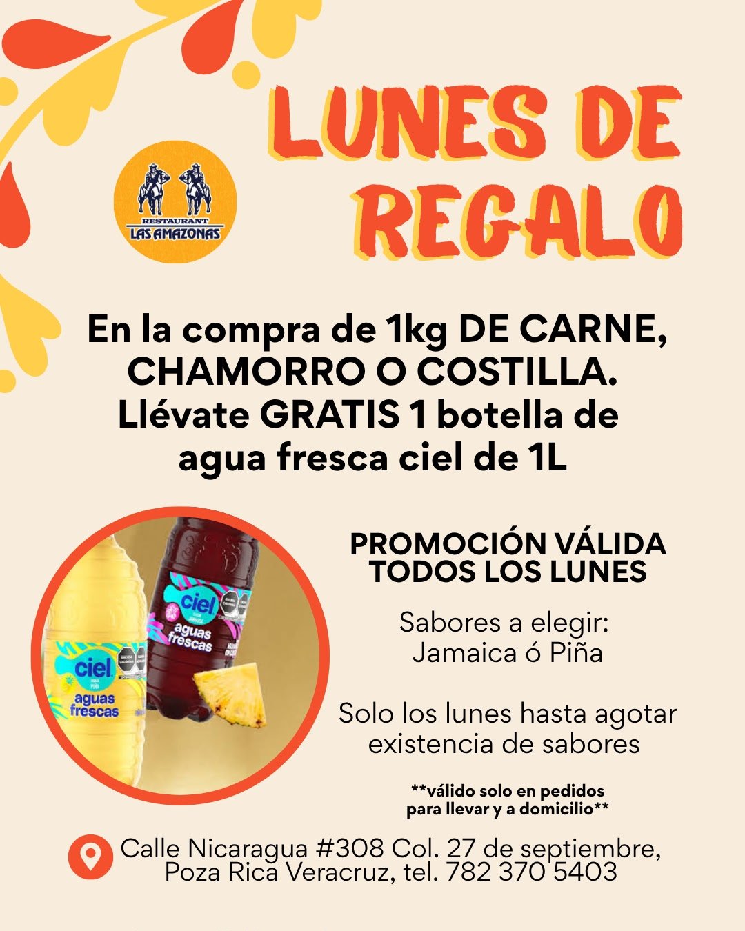 Promoción Las Amazonas